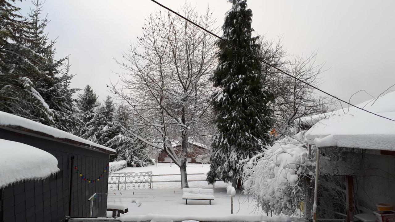 Ferienwohnungen! Kleine Bungalows Mit Terrasse! Stockhausen-Illfurth Dış mekan fotoğraf